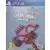 PS4 Games - Theme Park Simulator