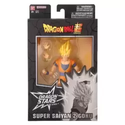Super Saiyan 2 Goku