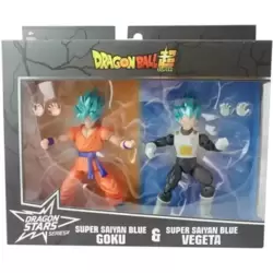 Super Saiyan Blue Goku & Super Saiyan Blue Vegeta
