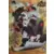 Livre SC - Kakashi Hatake