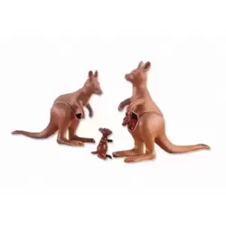 2 kangourous avec 2 Joeys