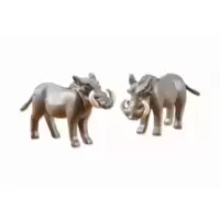 2 Warthogs