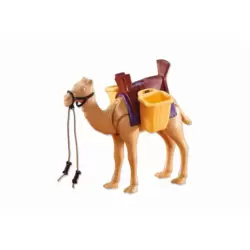 Camel with Accessories