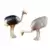 2 Ostriches