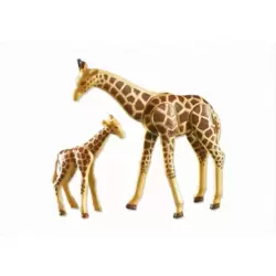 Giraffe with baby