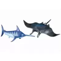 Manta Ray and Swordfish