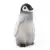 Wild Life - Expédition en Antarctique