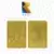 Fanattik - Ingot & Metal Card - Viva-Pinata - 24k Gold Plated Ingot - The Rare Collection