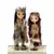 Happy Birthday 2 - Sacagawea