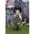 Pullip - Jeanne