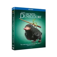 Les Animaux fantastiques : Les Secrets de Dumbledore [Blu-Ray]