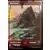 Extension - Montagne Foil