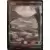 Innistrad: Chasse de minuit - Plaine Foil