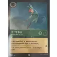 Peter Pan - Toujours dans les airs - Brillante