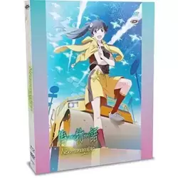 Nisemonogatari-L'intégrale [Combo Blu-Ray + DVD-Édition VOST]