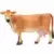 Jersey Cow