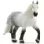 Percheron Mare