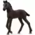 Horse Club - Friesian Foal
