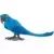 Wild Life - Hyacinth Macaw