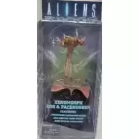Aliens - Xenomorph Egg and Facehugger