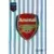 Women\'s Super League (WSL) 2024 - Club Badge - Arsenal