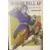 Dragon Ball AF - After the future - Tome 4