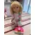 Poupées Galoob - Suzy Snapshot