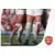 Team Triumph 2/2 - Arsenal