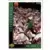 1993-94 Upper D.E.C.K - NBA Basketball Edition - US Version - Shawn Kemp