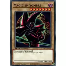 Magicien Sombre