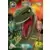 LEGO Jurassic World Série 1 - Ultra Charlie
