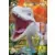 LEGO Jurassic World Série 1 - Ultra Indominus Rex