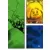 Carte puzzle n°170