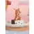 Pull Back Car - Tom & Jerry Series - Pull Back Car Blind Box Set (6pcs)