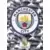 Club Badge
