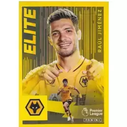 Raul Jiménez - Elite - Wolverhampton Wanderers