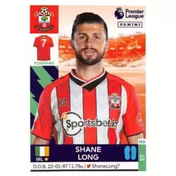 Shane Long - Southampton