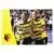Hornets - Watford