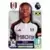 Premier League 2024 - Bobby De Cordova-Reid