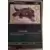 Cartes Promo Ecarlate et Violet - SVPfr - Grondogue