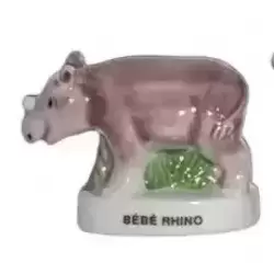 Bébé Rhino