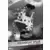 D-Stage - Steamboat Willie - Exclusive Version