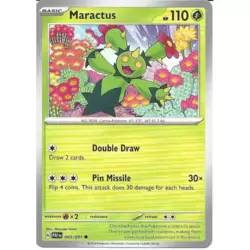 Maractus