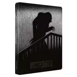 Nosferatu- Version restaurée 2K [Combo DVD+Blu-Ray métal] [Blu-ray + DVD - Version Restaurée - Boîtier métal Futurepak limité]