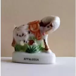 Appaloosa