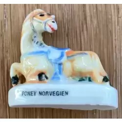 Poney Norvégien