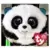Beanie Ballz - Bamboo the Panda