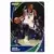 Malik Beasley - Minnesota Timberwolves