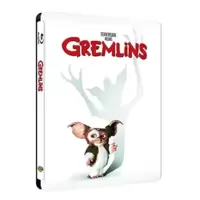 Gremlins + Gremlins 2 : La nouvelle génération - Édition Limitée SteelBook - Blu-ray