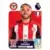 Premier League 2024 - Neal Maupay